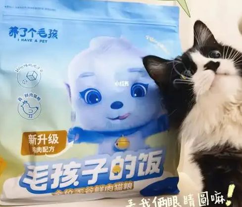 口粮！三只松鼠靠什么重返宠物食品赛道CQ9电子有限公司零食巨头盯上毛孩子(图1)