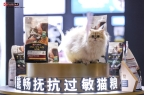 携宠物全生命周期健康解决方案闪耀它博会C
