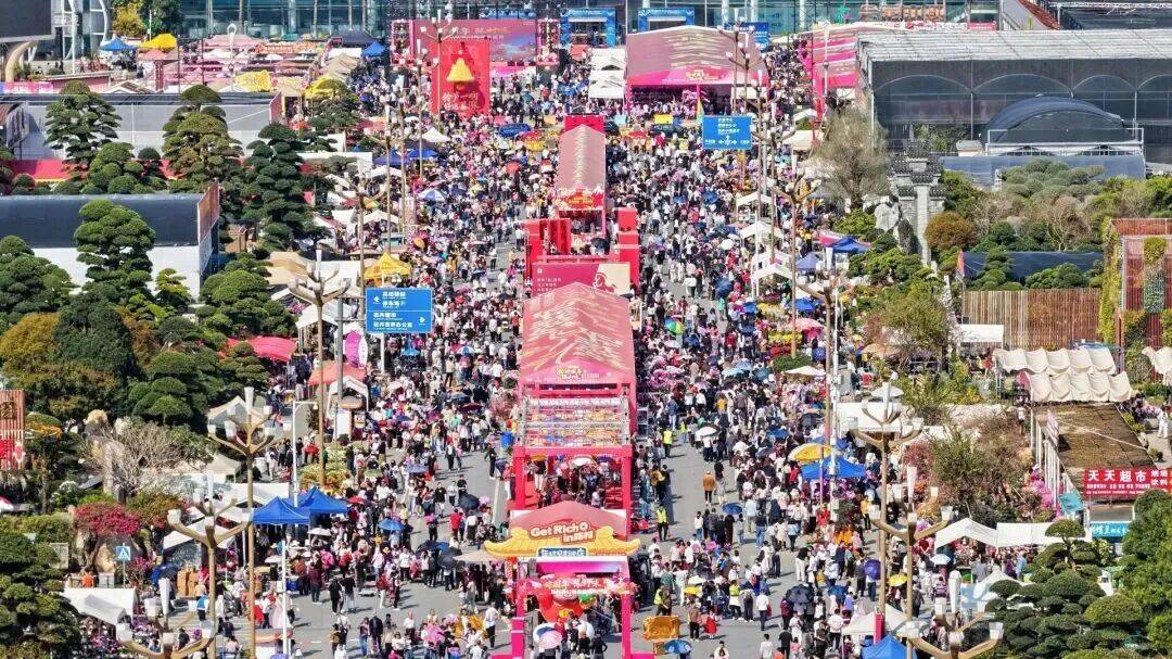 夸张！陈村花市9次上央视！(图7)