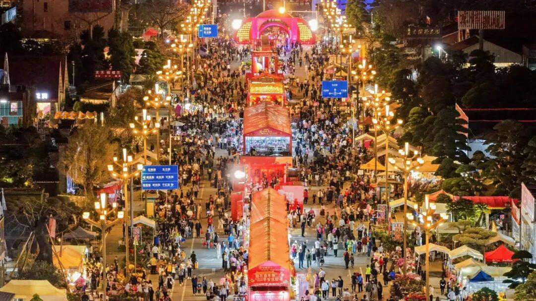 夸张！陈村花市9次上央视！(图6)